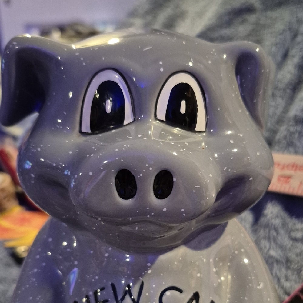 Gray "NEW CAR FUND" Piggy Bank - Picture 8 of 8